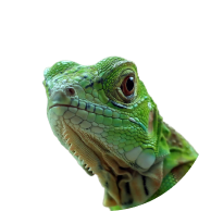 Тераристика