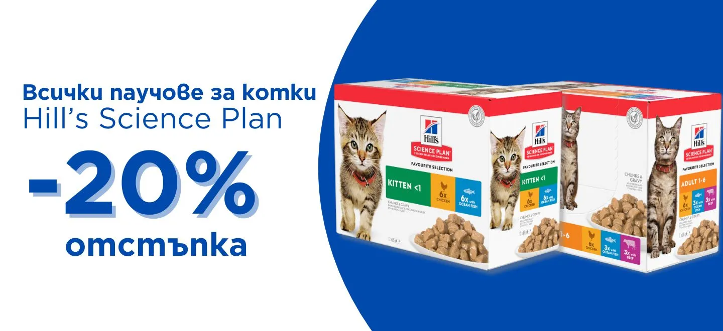 Promo banner